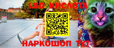 трава Гатчина