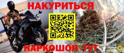 трава Гатчина